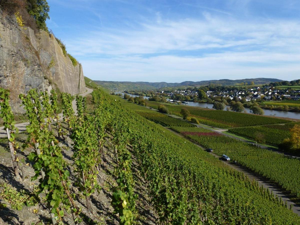 Weingut Harald Ludwig Apartment Osann-Monzel Exterior photo
